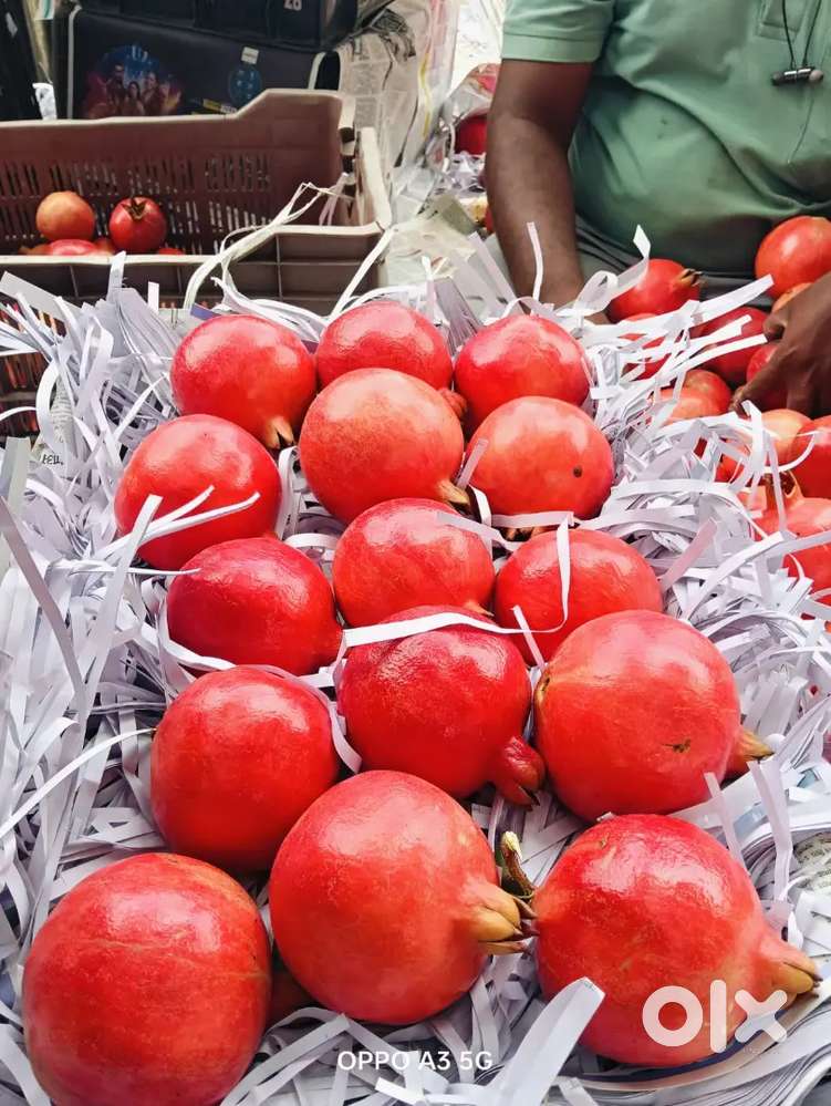 Sales cum Delivery (Fruits Distribution)