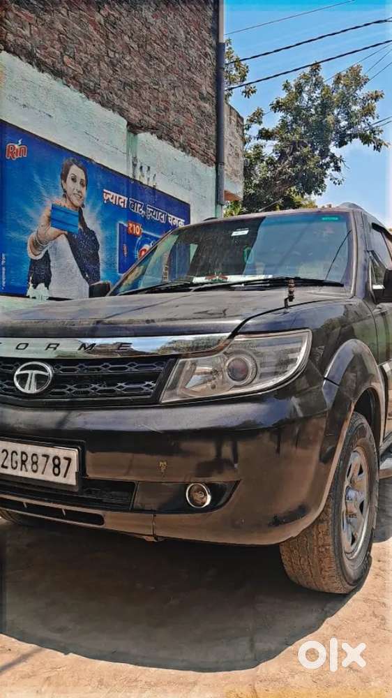 Safari Storme