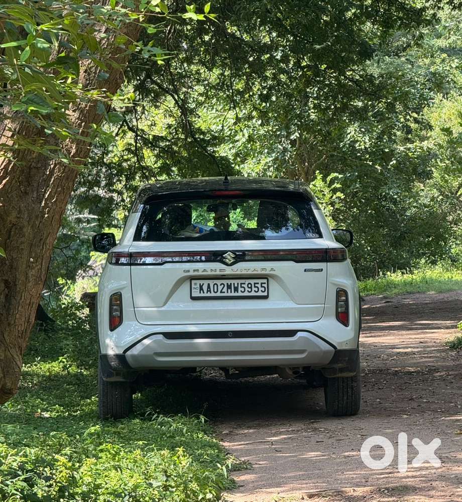 Maruti Suzuki Vitara 2025 Registered
