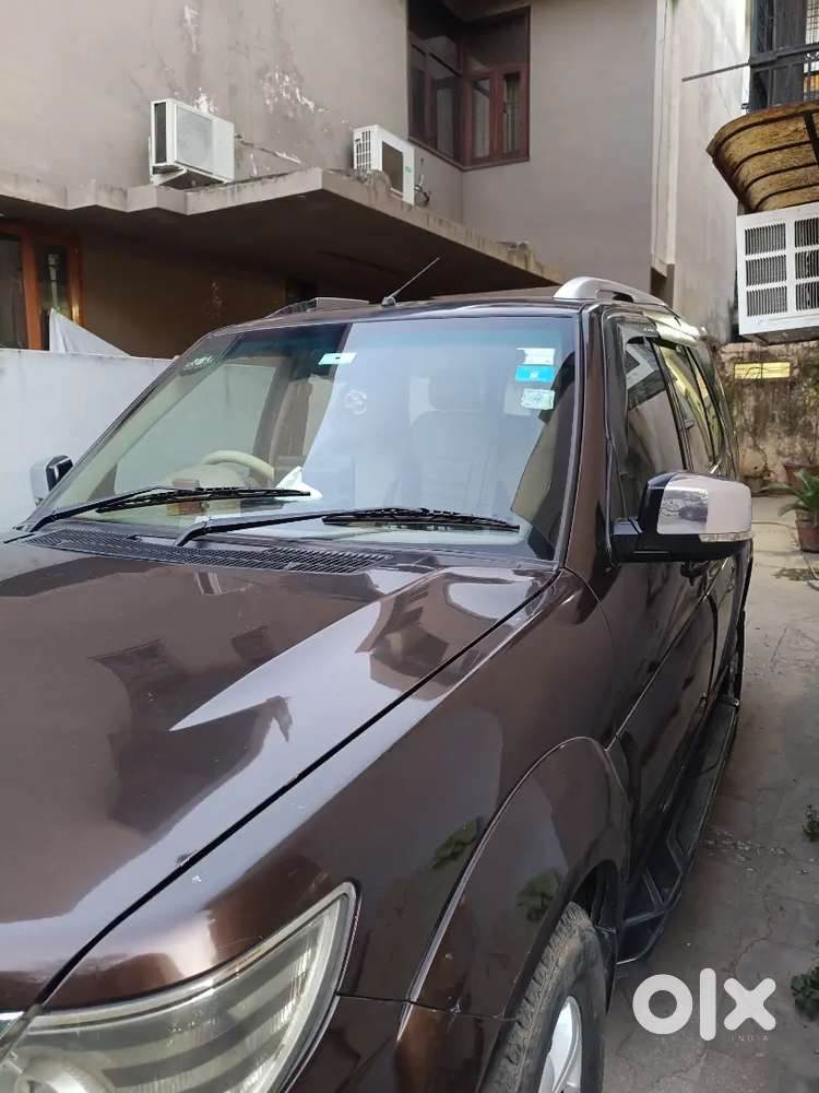 Safari Storme Manual 2013 Model Brown Colour