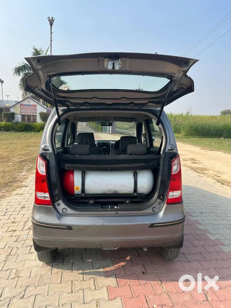 Wagno R   (cng Petrol)