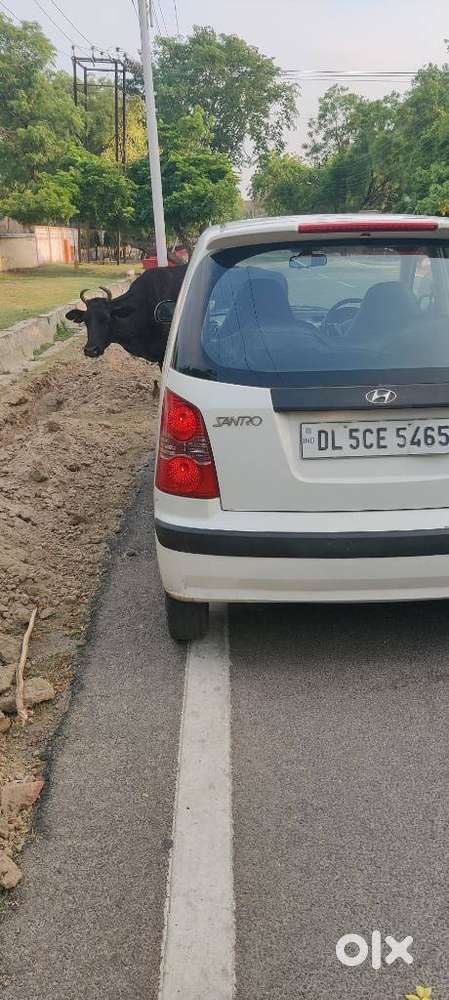 Hyundai Santro Xing Gls, 2014, Petrol