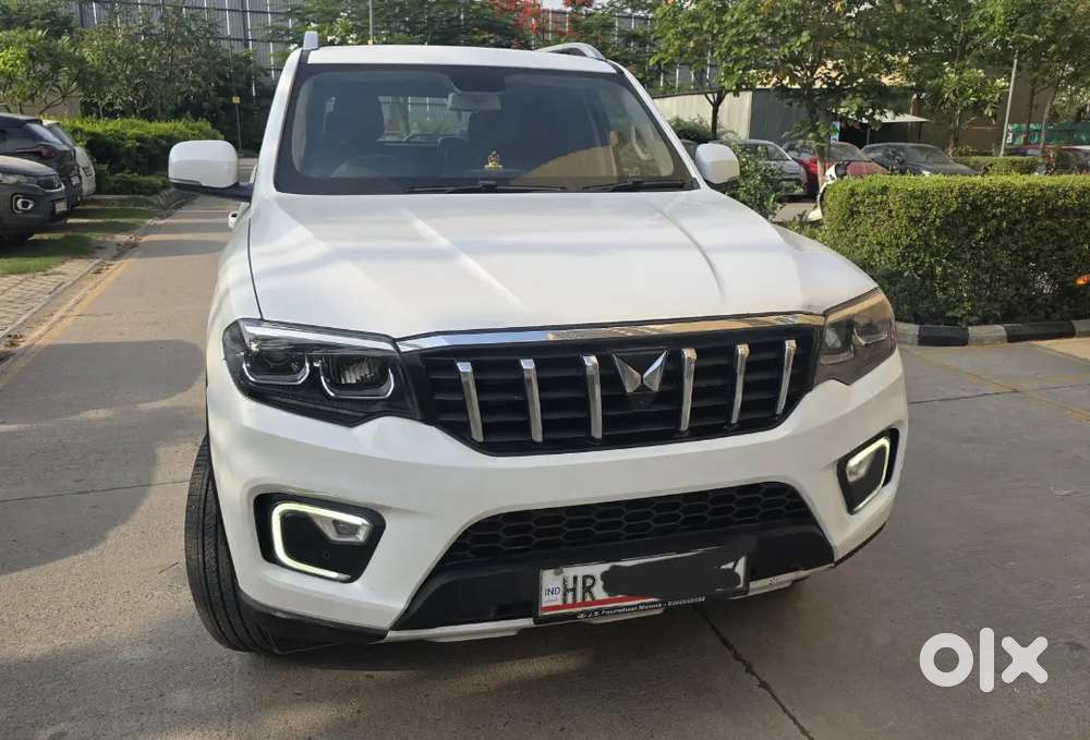 Scarpio N Z8l Automatic