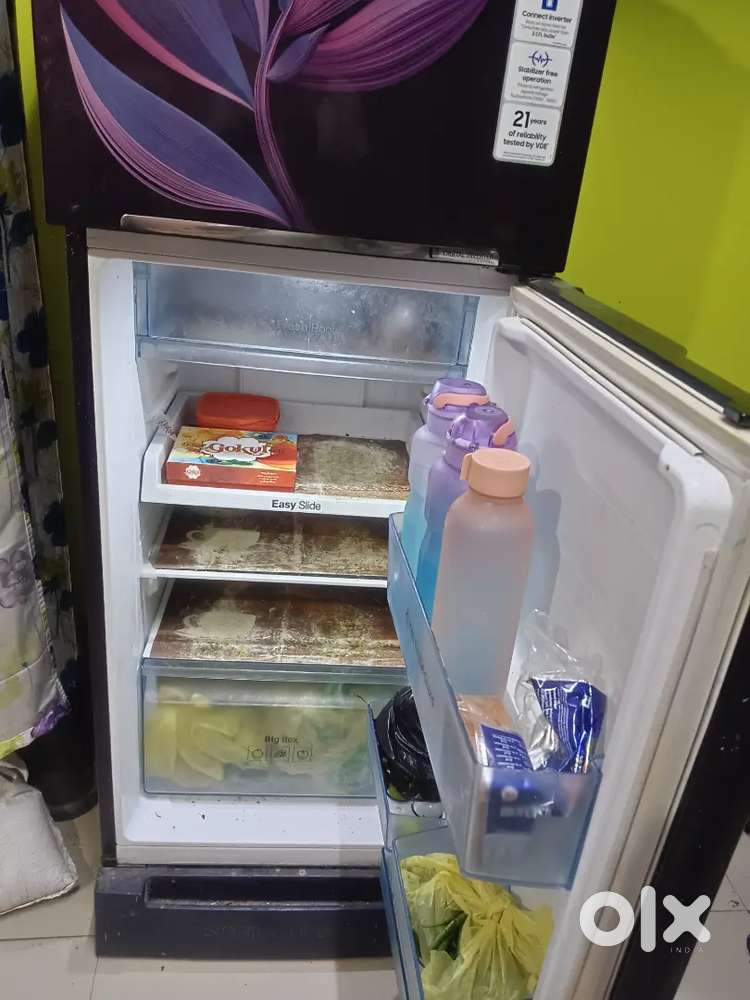 Fridge 2022