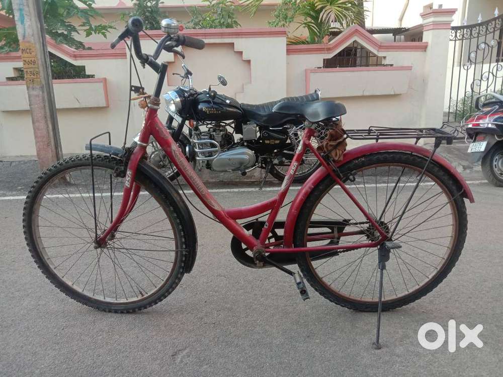 BSA lady bird