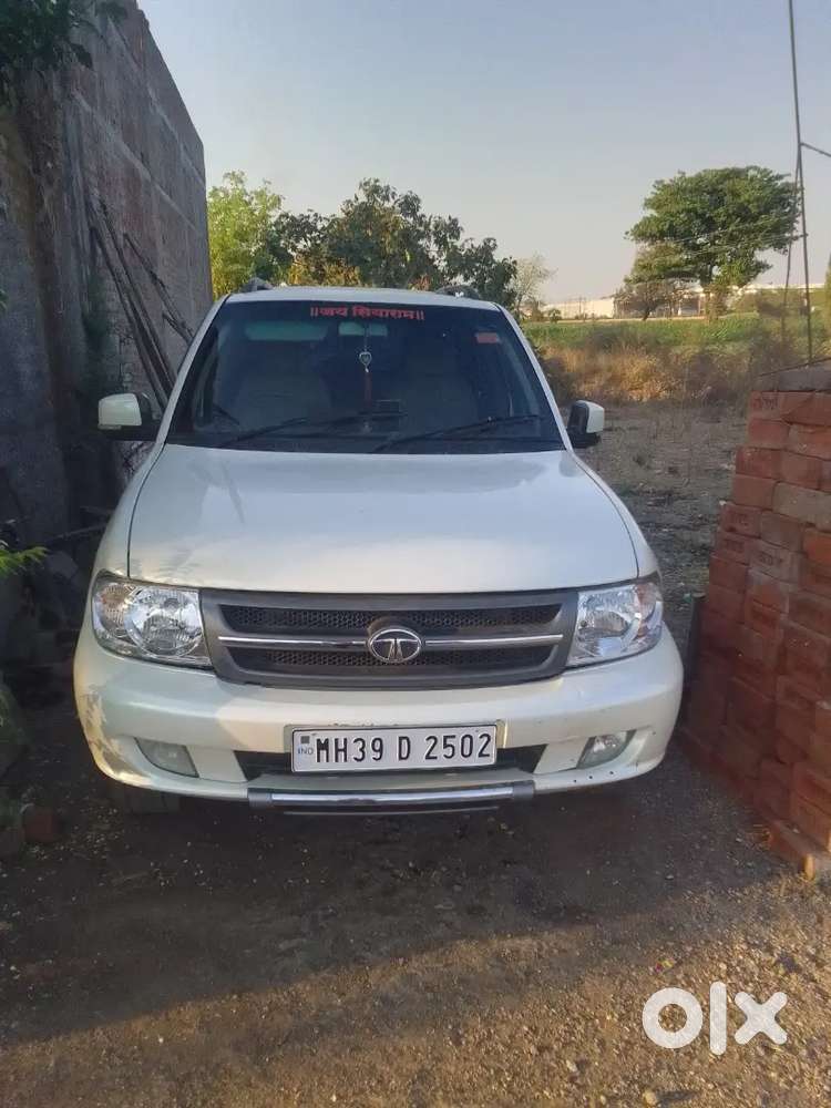 Tata Safari Decor