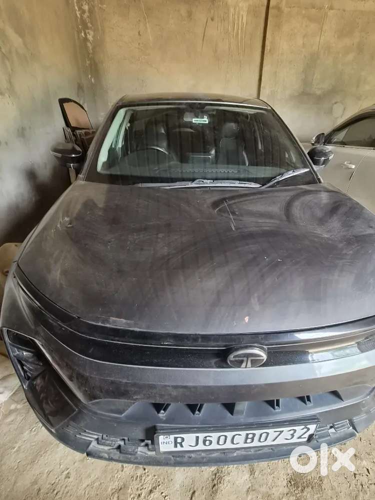 Tata Nexon 2024 Petrol Well Maintained
