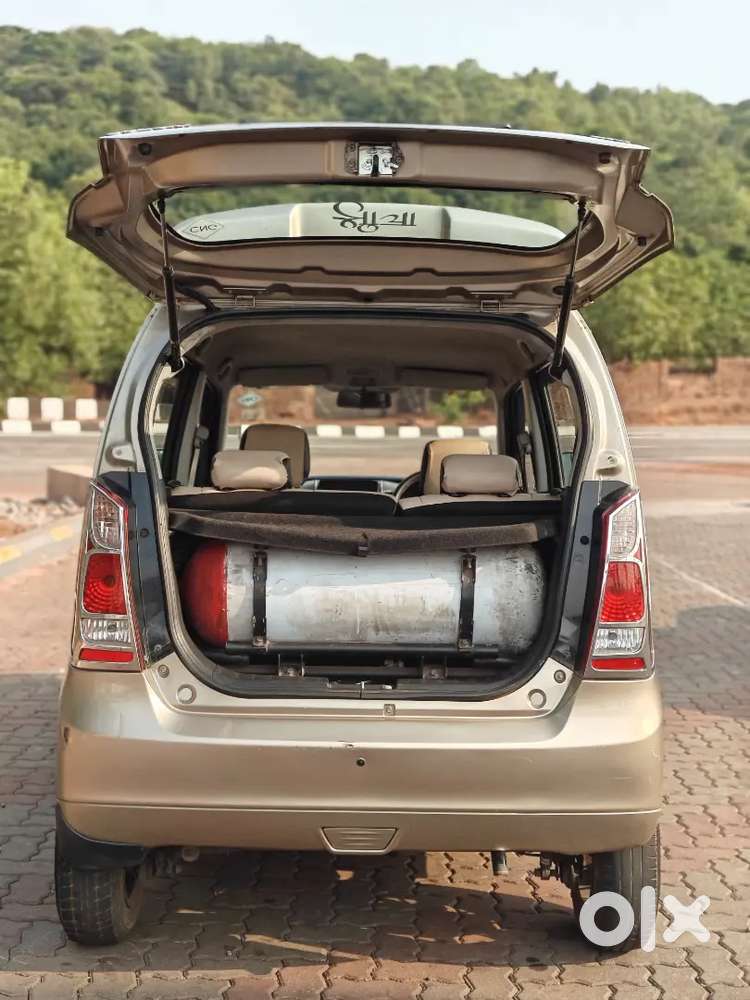 Maruti Suzuki Wagon R 2014 Cng