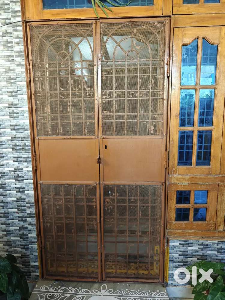 Iron grill door including stainless steel mesh