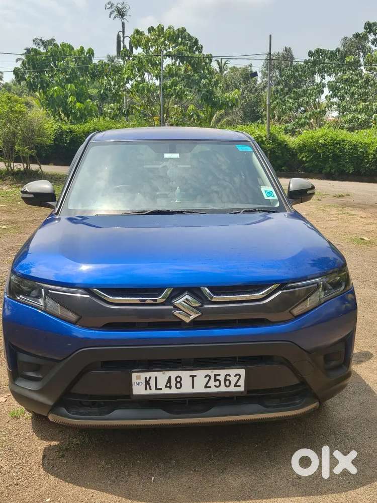 Brezza Vxi