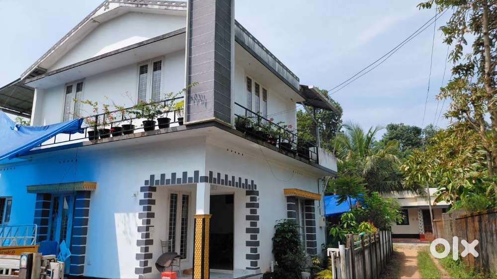 1100 Sqft 3 BHK on 8 Cents in Thattampady | 39 L
