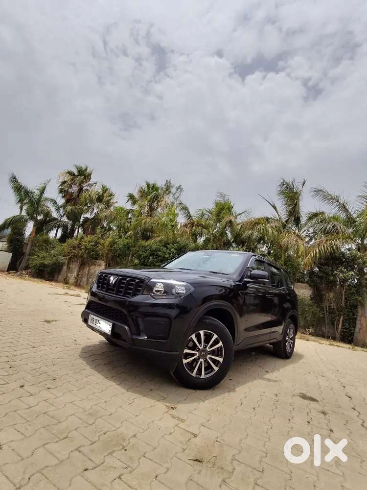 Brand New Car