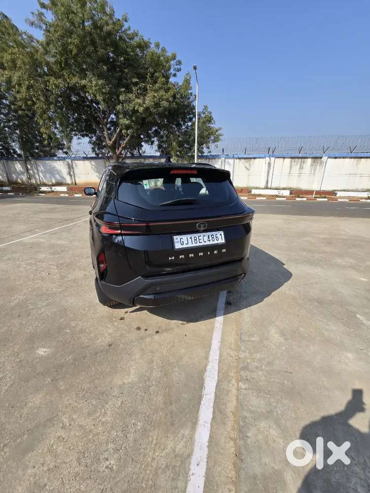 Tata Harrier Diesel 2024 Automatic 41000 Km Driven