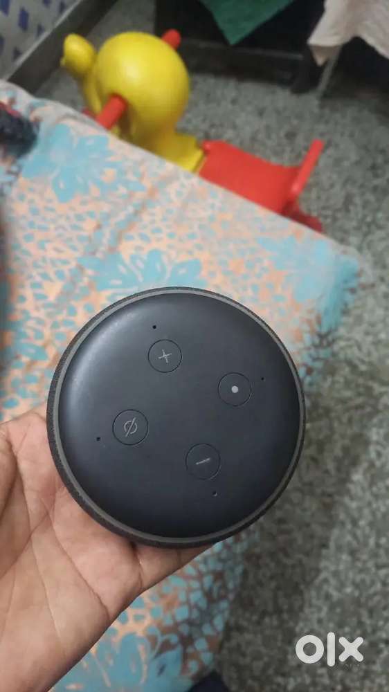 Alexa 3 generation.