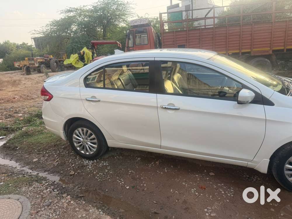 Maruti Suzuki Petrol 2023