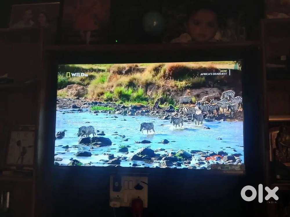 Sony Bravia 2m2 43 inch
