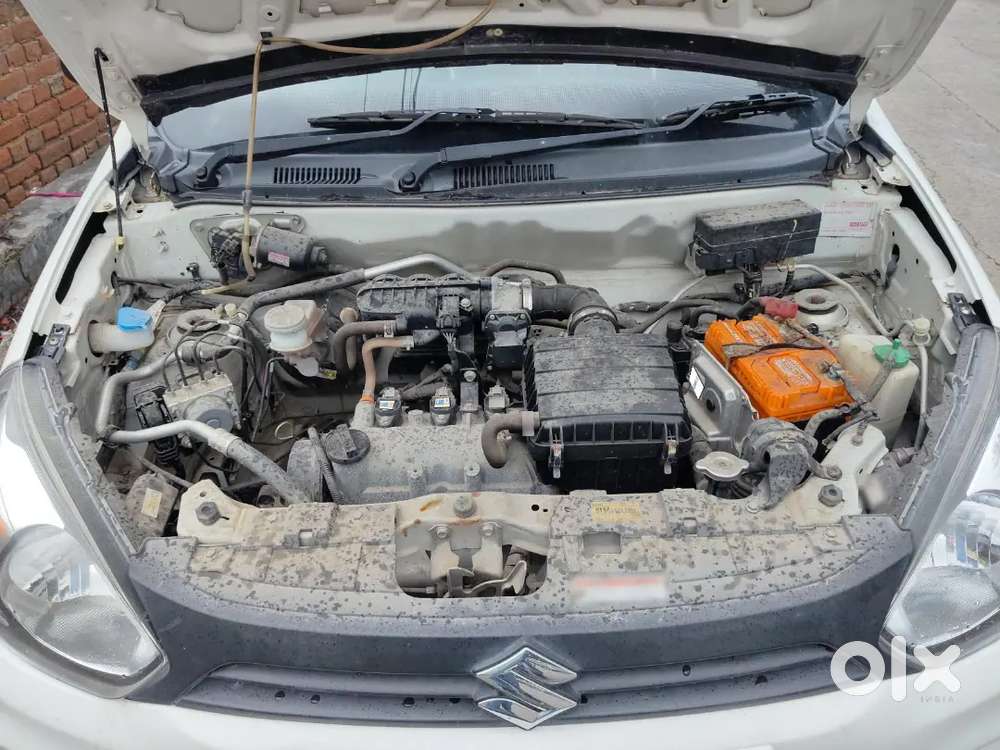Urgent Sale Alto Lxi