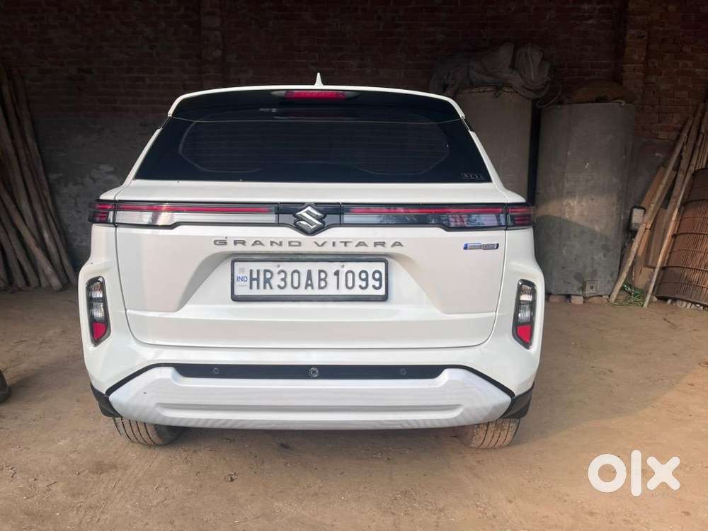 Maruti Suzuki Petrol 2024