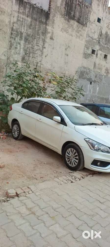 Maruti Suzuki Ciaz 2022 Petrol 54000 Km Driven
