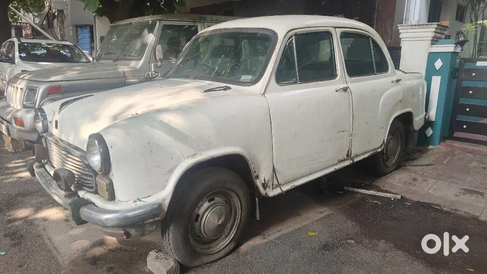 Ambassador For Sale