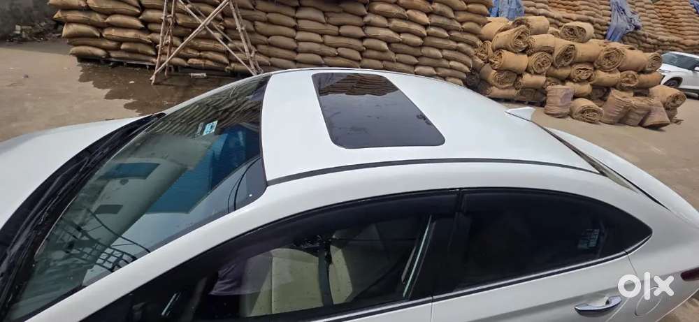 Excellent Car Top Model