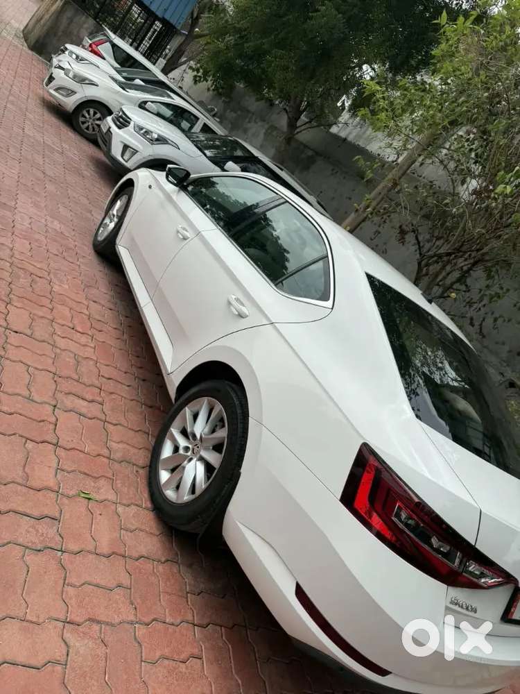 Superb In Superb Condition Like New