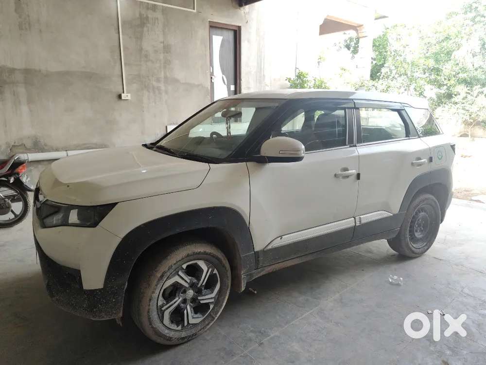 2023 Model