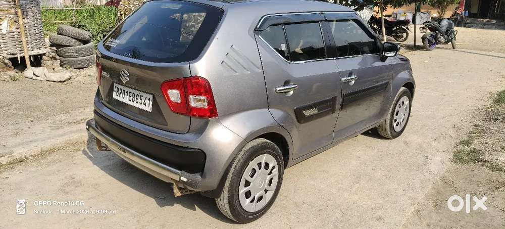 Igins Petrol 2019 Sigma