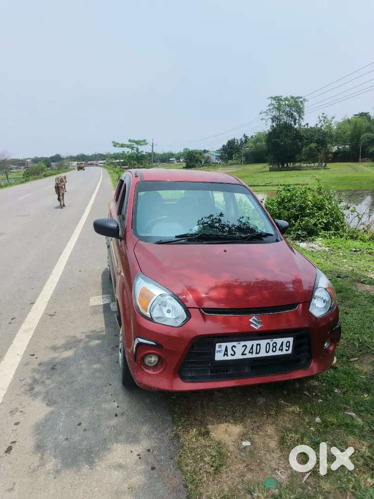 Maruti Suzuki Alto 800 2019 Petrol 14000 Km Driven