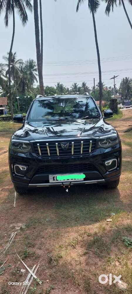 Mahindra Scorpio N Z8 L Petrol Mt 7 Str, 2024, Petrol