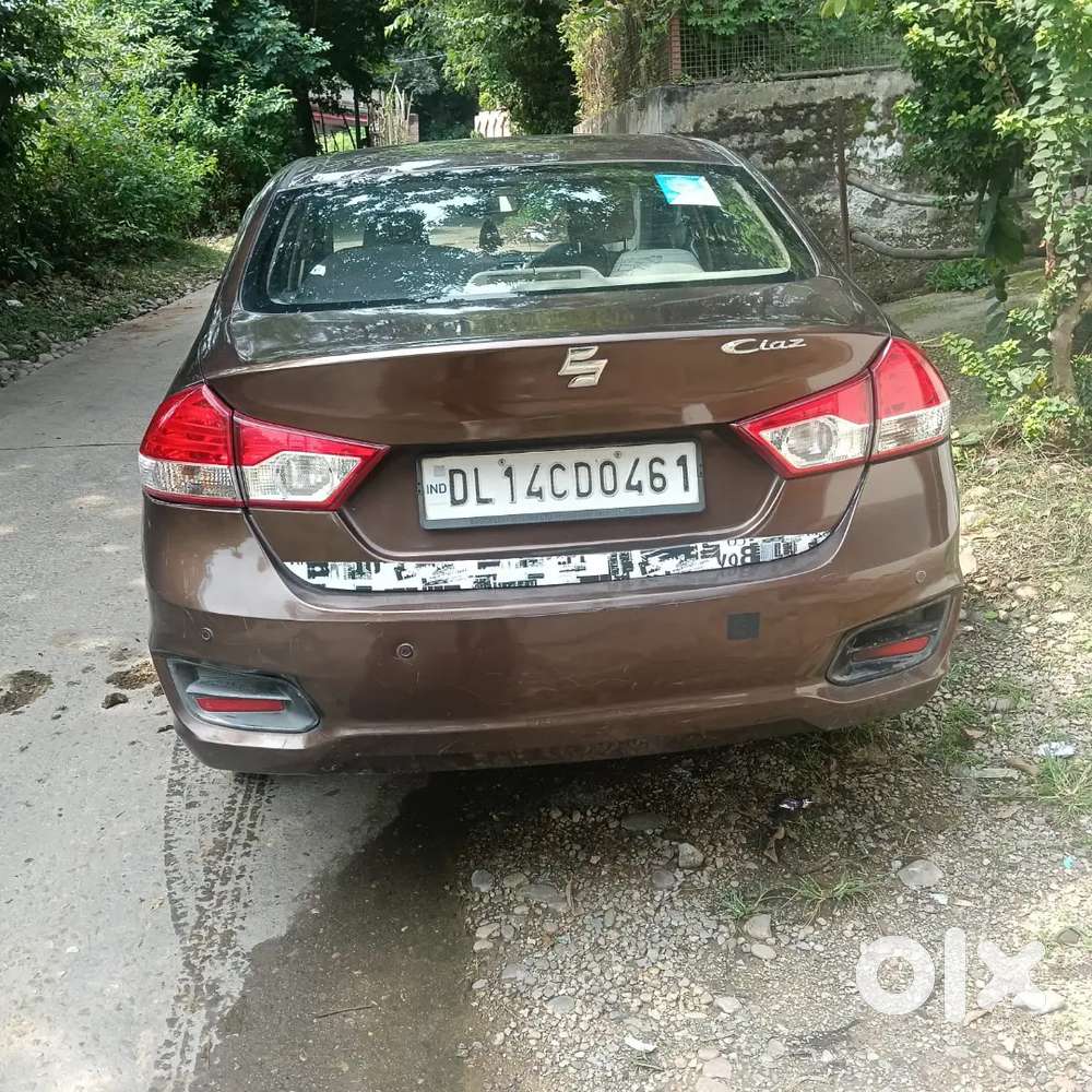 Noc Kat Raki Ha Anb Himachal Pradesh Ke