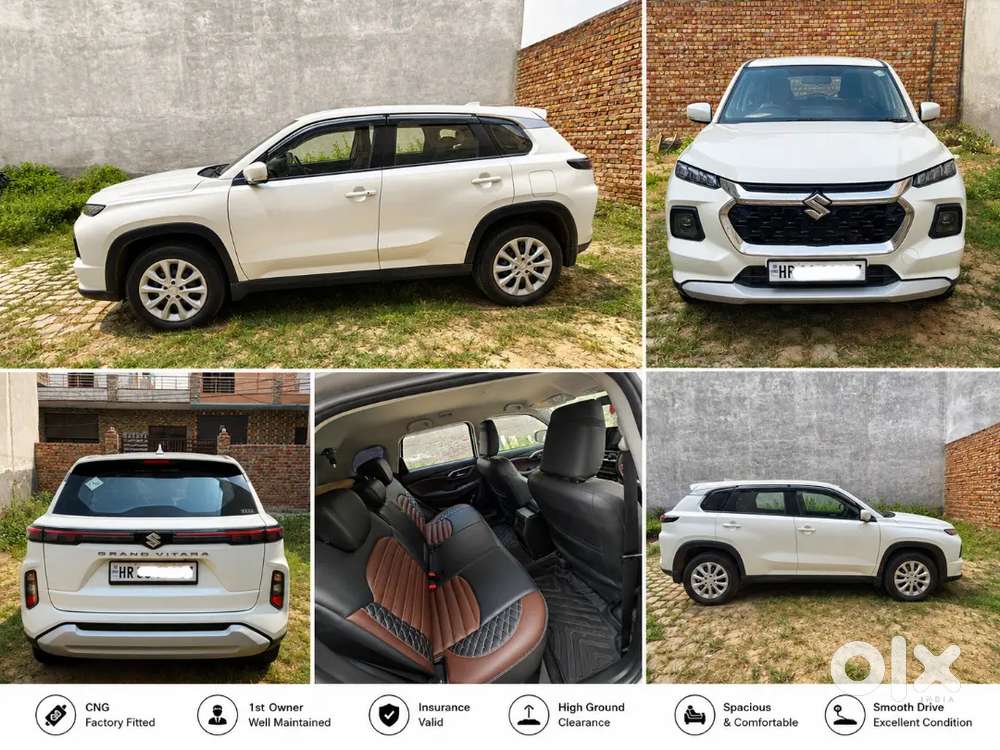2024 Grand Vitara Delta Cng  Single Owner  Excellent Condition