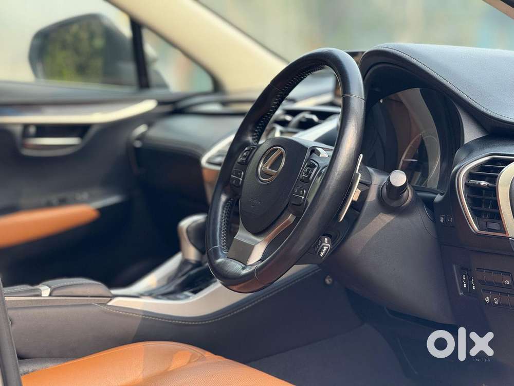 Lexus Nx Lexus-nx-300h-luxury, 2019, Petrol