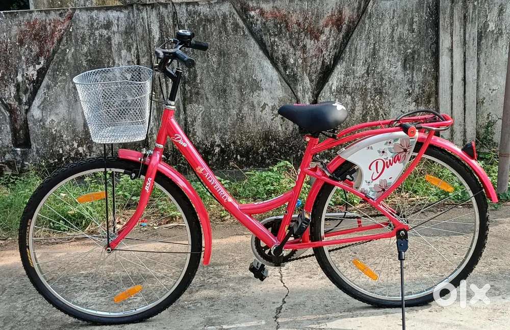 Bsa Girls Pink Bicycle Pink Bsa Cycle For Year Old Girls Cycle