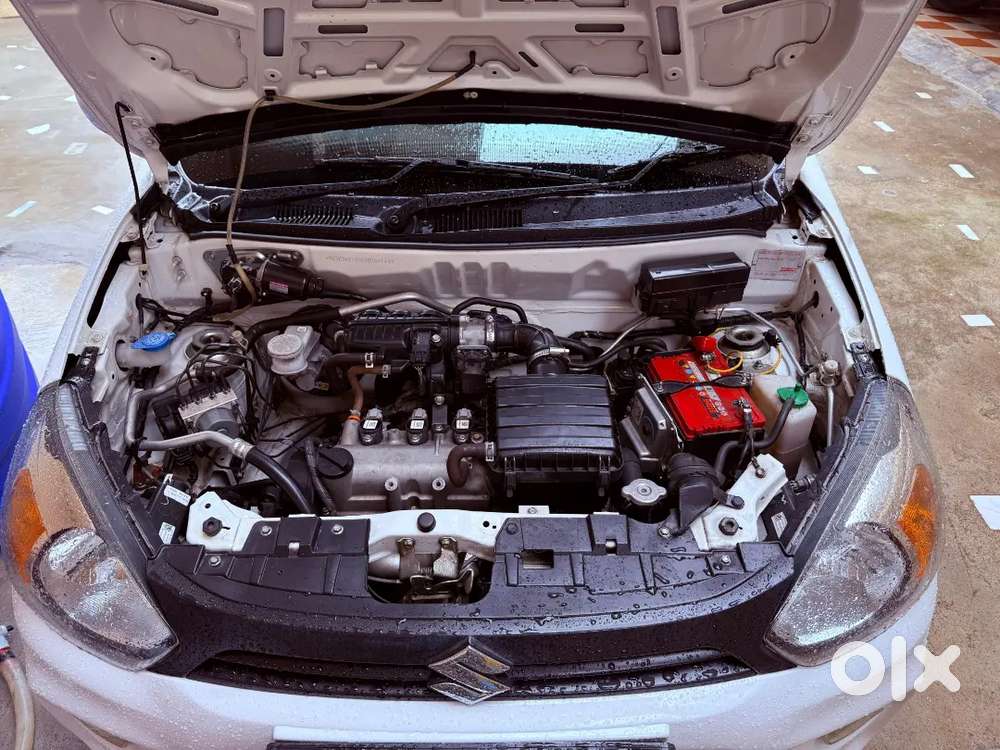 Maruti Suzuki Alto 800 2023 Petrol Good Condition