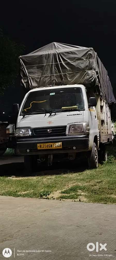 Maruti Suzuki 1000 Std 2021