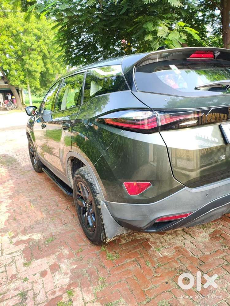 Less Driven Top Model Harrier Camouflage Edition