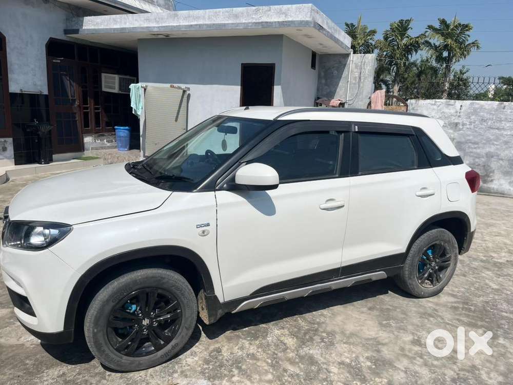 Maruti Suzuki Diesel 2019 Car