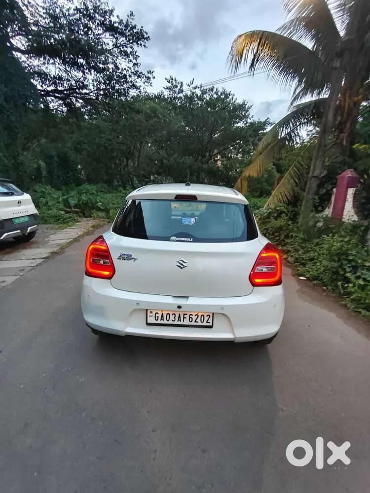Swift 2024 (2 Year Old)