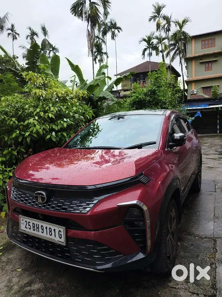 Tata Curvv Creative Plus S Petrol 2025 First-owner
