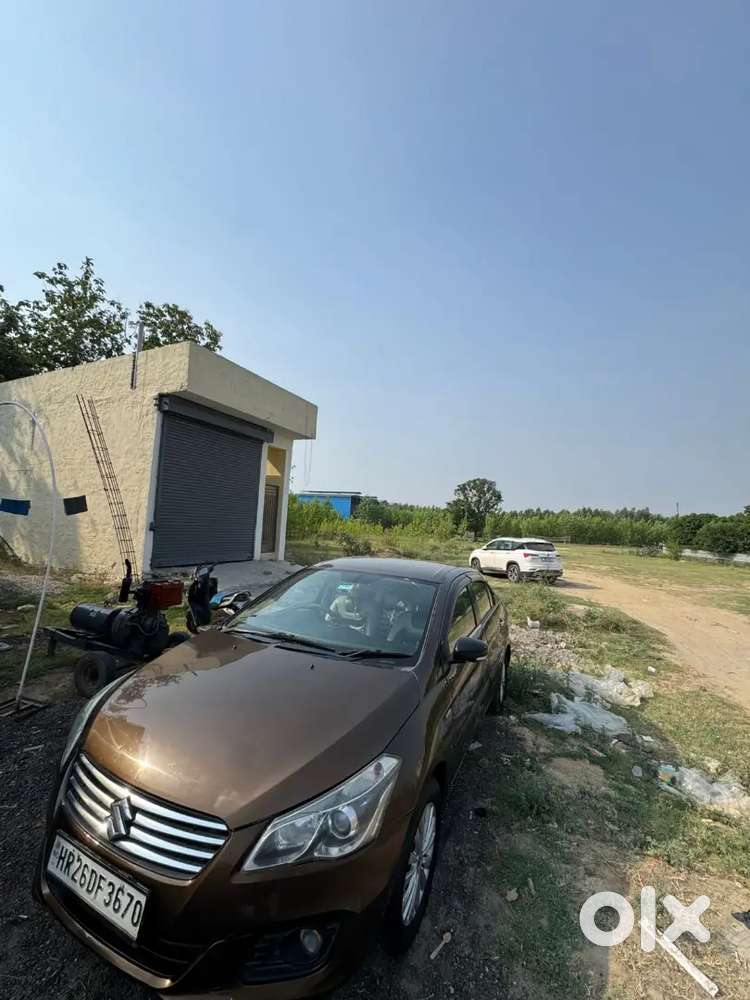 Maruti Suzuki Ciaz 2017 Diesel Car