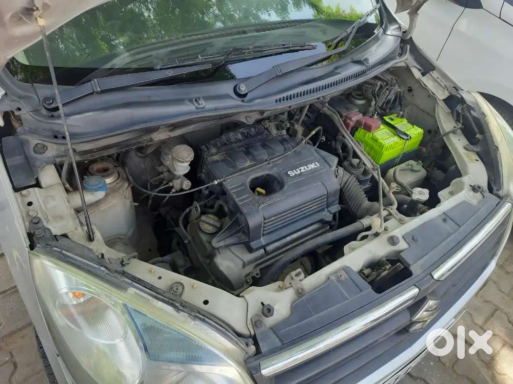 Maruti Suzuki Wagon R Flex Fuel 2011