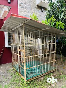 Dog Cage Pets for sale in Irinjalakuda OLX