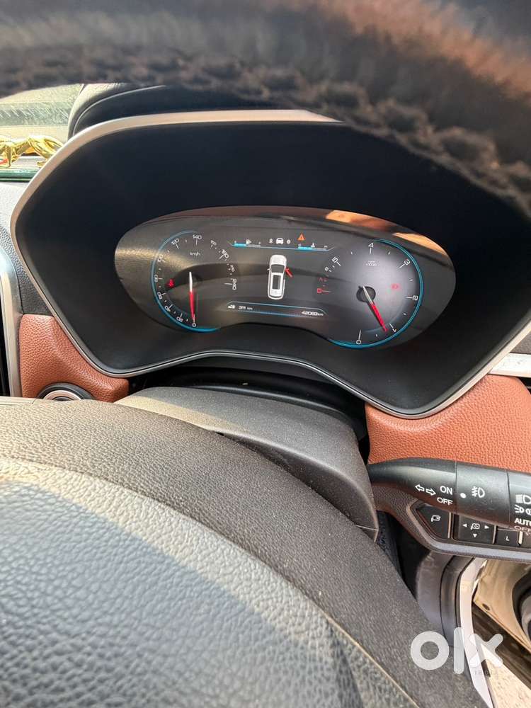Mg Hector Plus 2021 Year