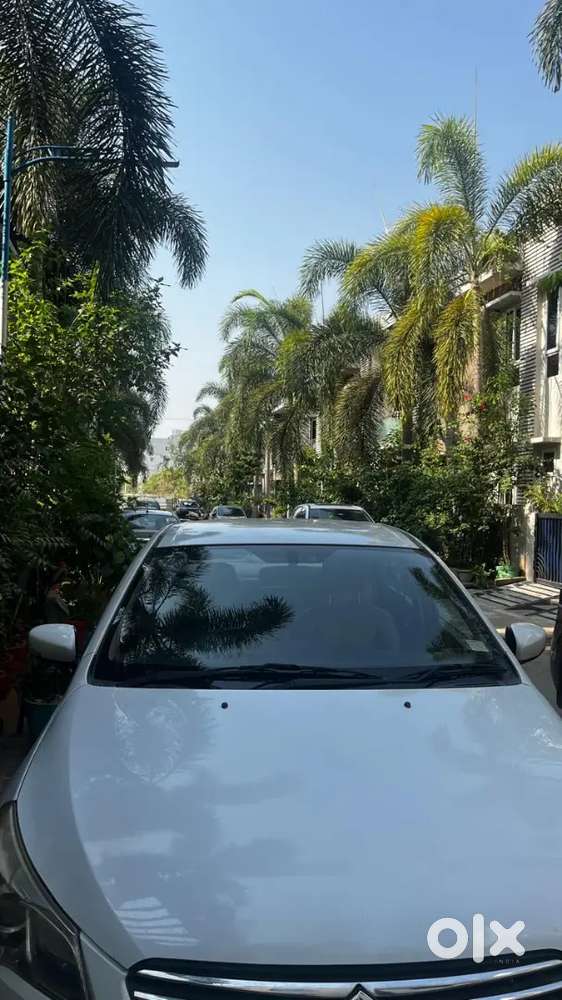 Ciaz Maruti