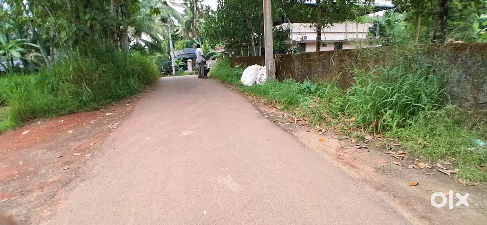 Kakkanad pallikkara near infopark 22 cent land for sale per cent 4.75