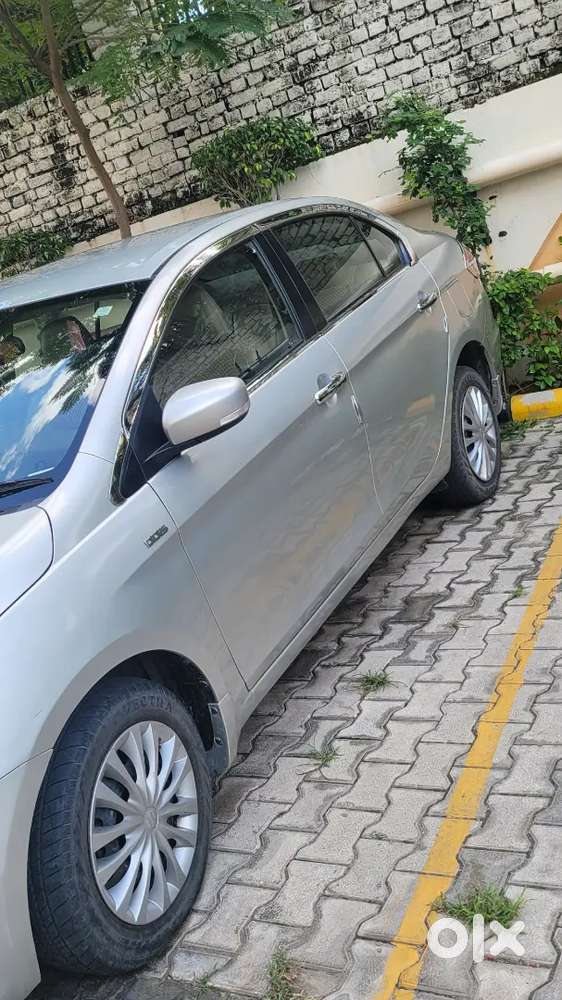 Maruti Suzuki Ciaz S