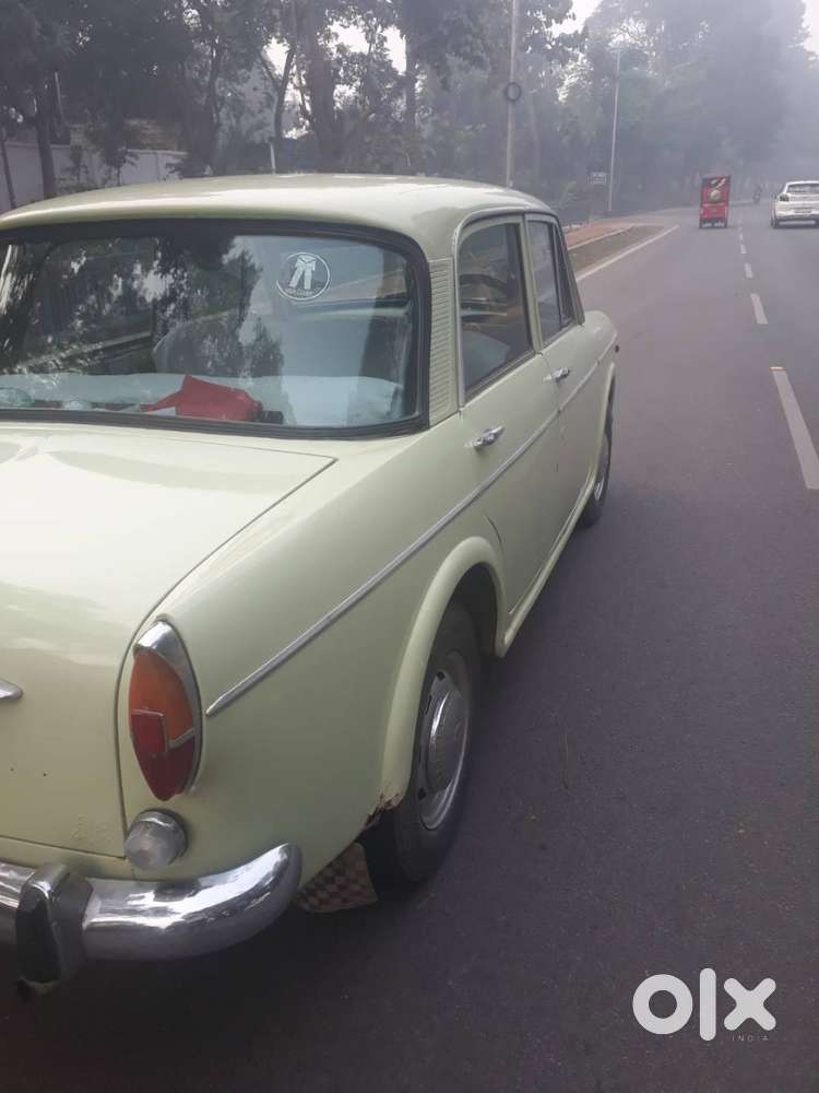 Fiey Premier Padamini