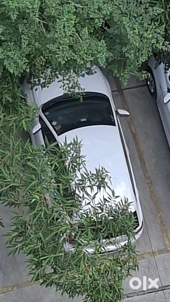 Very Well Maintained Polo Diesel