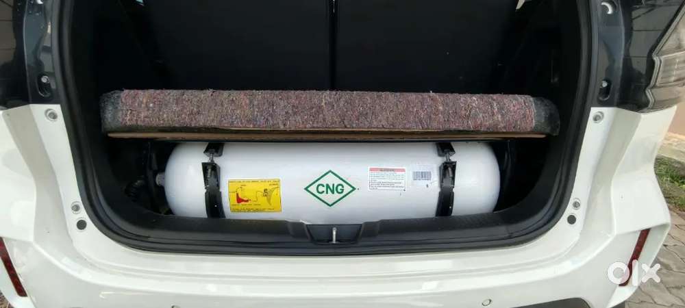 2024 Maruti Suzuki Xl6 Zeta Petrol / Cng